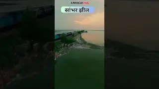Sambhar Lake | सांभर झील #shorts #viral #nature