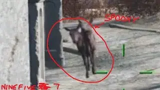 Spooky deer
