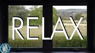 VIRTUAL WINDOW &bull; 10 Hours of Peaceful Countryside With Nature Sounds &bull; Relaxing Scenery #nature