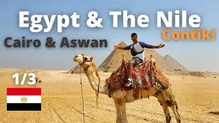 Contiki Egypt & The Nile | Part 1 - Cairo, Giza & Aswan | Places to visit | Egypt Solo Travel
