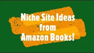 Profitable Niche Site Ideas from Amazon Bookstore