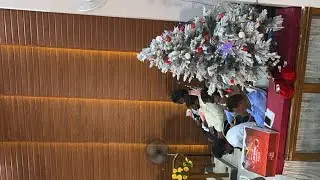 Sarah 'B'Locke Centenary Telugu Baptist Church is live