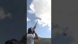 Potenza e Precisione
