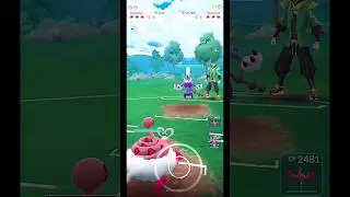 ✨️Enamorus VS✨️Thundurus PVP Battle in Pokemon Go