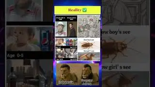 #memesdaily #montage #memes #funny #humor #funnyimages #rtx4090 #rtx3060 #rtx4060 #amazingmemes #usa