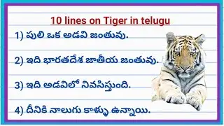 10 lines on tiger in telugu। Essay on tiger in telugu। Telugu essay on tiger