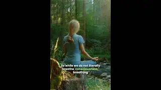 What we actually breath #facts #funfactfritzi #sciencefacts #scienceknowledge #conciousness