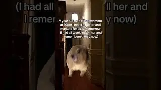 MAMA, HELP ME 🥺 #hyrax #fyp #foryou #mama #memes #shorts #short #shortsfeed #shortvideo #funnymemes