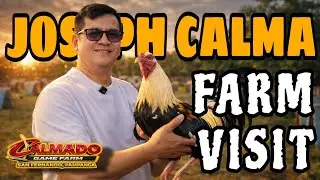 Silipin Ang loob  Ng calmado gamefarm 