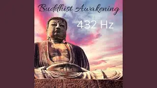 Zen Experience