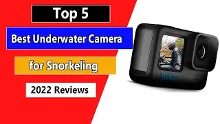 The Best Underwater Camera for Snorkeling | Top 5 List in 2026