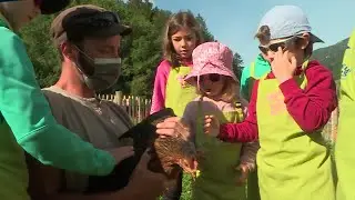 Haute-Savoie : La Source, une ferme pédagogique pour découvrir les animaux