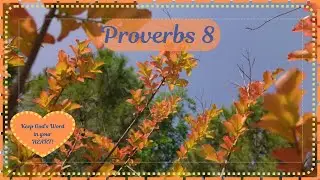 Proverbs 8 - (Proverbs/Devotional).... I wisdom dwell with prudence...wisdom is better than rubies.
