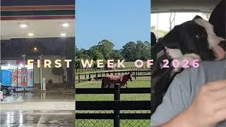 First Week of the New Year ✨ | Weekly Vlog