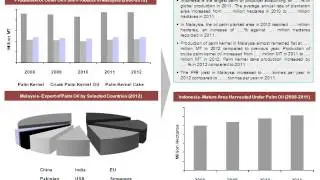 Global Palm Oil Market Report: 2013 Edition- Koncept Analytics
