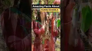 Amazing Facts About Kukru Khamla| #kukrukhamla #khamla #shorts #youtubeshorts #viral #arudev #facts