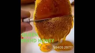 QUEEN MULTI FLORA HONEY #honey#honeybee#honeycomb#healthy#tasty