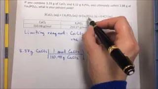 Calculating Theoretical and Percent Yield