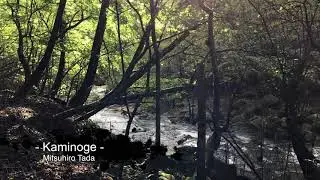 Kaminoge - 上野毛 - Mitsuhiro Tada  /  music 多田三洋　movie トリマトリ。眠れない夜にどうぞシリーズ