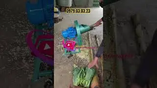 Banana and Grass Chopper for Poultry, Pigs, Cattle, and Livestock Farms