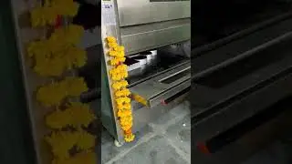 WESTERN BRAND DOUBLE DECK GAS OVEN