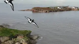 Hilbre Island & Little Eye By Drone