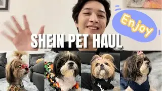 HUGE SHEIN PET HAUL! Yay or Nay?