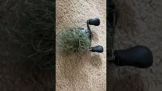 Worst birdsnest in the entire world!!! #bass #fishing #baitcaster