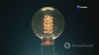 The Bright History of LED Lights: Facts You Didn't Know!