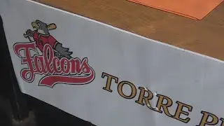 Baseball, i Falcons Torre Pedrera presentano la nuova stagione