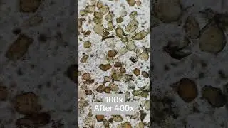 Ever wonder what turmeric looks like under a microscope?🔬Prepare to be amazed! #Turmeric #Microscope