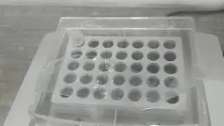 DEMO VIDEO OF THERMO SHAKER MODEL MSC 100