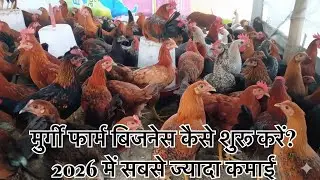 Murgi Farm Business Kaise Shuru Karein मुर्गी फार्म बिजनेस कैसे शुरू करें? 2026 में सबसे ज्यादा कमाई