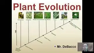 Plant Evolution