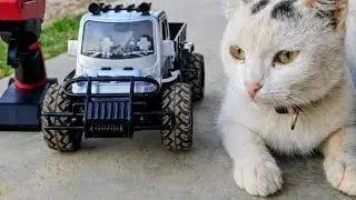 RC Vehicle Off Roading Challenge 🔥 