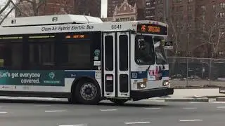 NYCT | 2005 Orion VII OG HEV 07.501 #6641 on M96