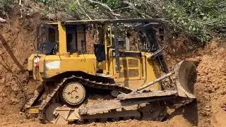 Bulldozer D6 Full-time Work Clearing & Pushing Massive Land #bulldozer #long #viral #viralvideo