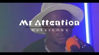 Mr Attention - Wakatemba [Music Box Visualizer]