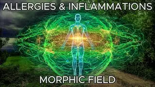 Allergies & Inflammations Morphic Field: Cure Root Cause, Heal Body, Reduce Symptoms, Boost Immunity