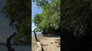 Pemandangan adem di pantai🍃 - Pangandaran, Indonesia #naturelovers #nature #explore #travel