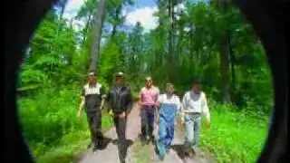 BR5-49 - Wild One