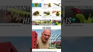 Pitcher Plants EAT Flies ALIVE! (Insane Carnivorous Plant Caught On Camera) #shorts