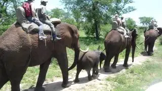 Africa 118.MTS