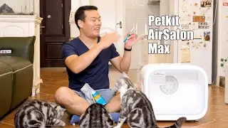 AIRSALON MAX   PETKIT AirSalon Max Cat Dryer Box Review