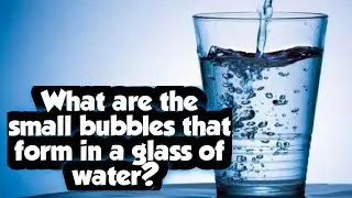 What are the small bubbles that form in a glass of water? || #curiosity || General Facts
