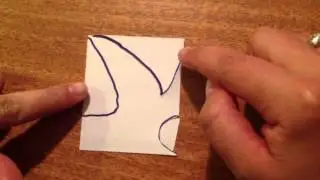 Translation Tessellation
