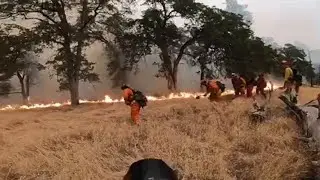 Firefighters try to stop Carr Fire as it advances toward Igo on Saturday