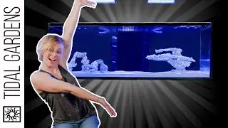 Tank Reveal Time! - Becka's Tank - Episode 4