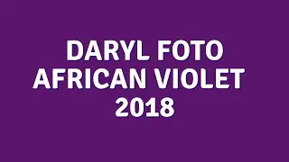 Daryl Foto (African Violet Showcase 2018)