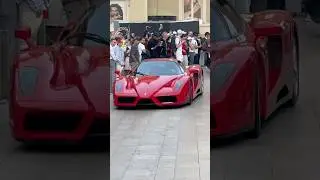 Ferrari Enzo in Monaco 🇲🇨#ferrari #enzo #ferrarienzo #luxury #rich #lifestyle #monaco #montecarlo